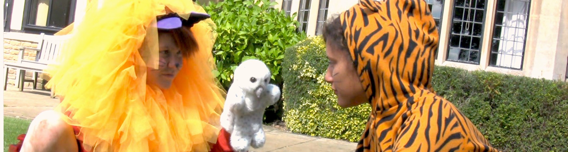 A lion, a tiger and an owl facing off, in a video from 2011.